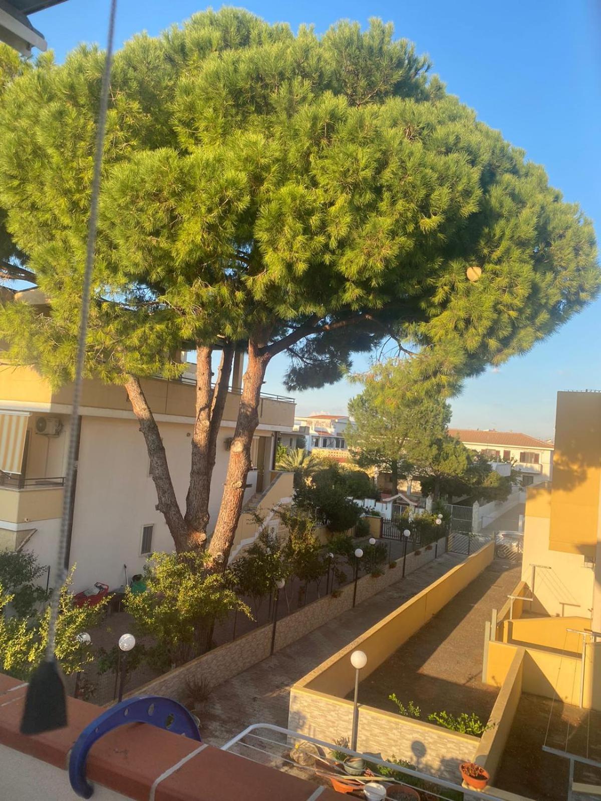 Villa Maniva Marina di Ginosa Exteriör bild